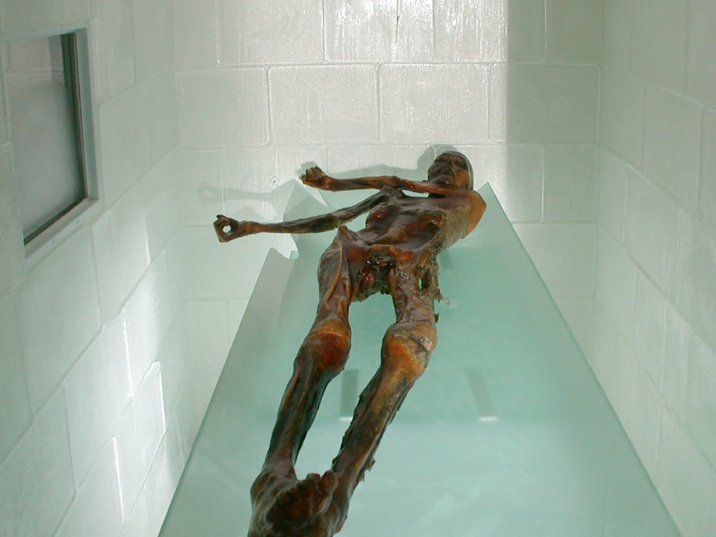 © Südtiroler Archäologiemuseum – www.iceman.it © Südtiroler Archäologiemuseum – www.iceman.it